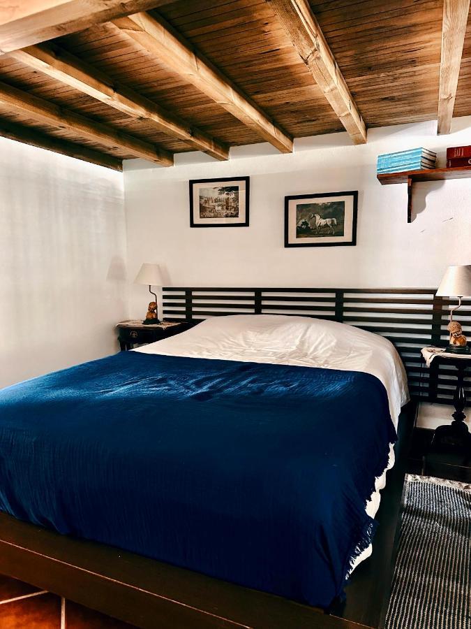 فيلا Casa Girassol With A Beautiful Private Pool And Garden سينترا المظهر الخارجي الصورة